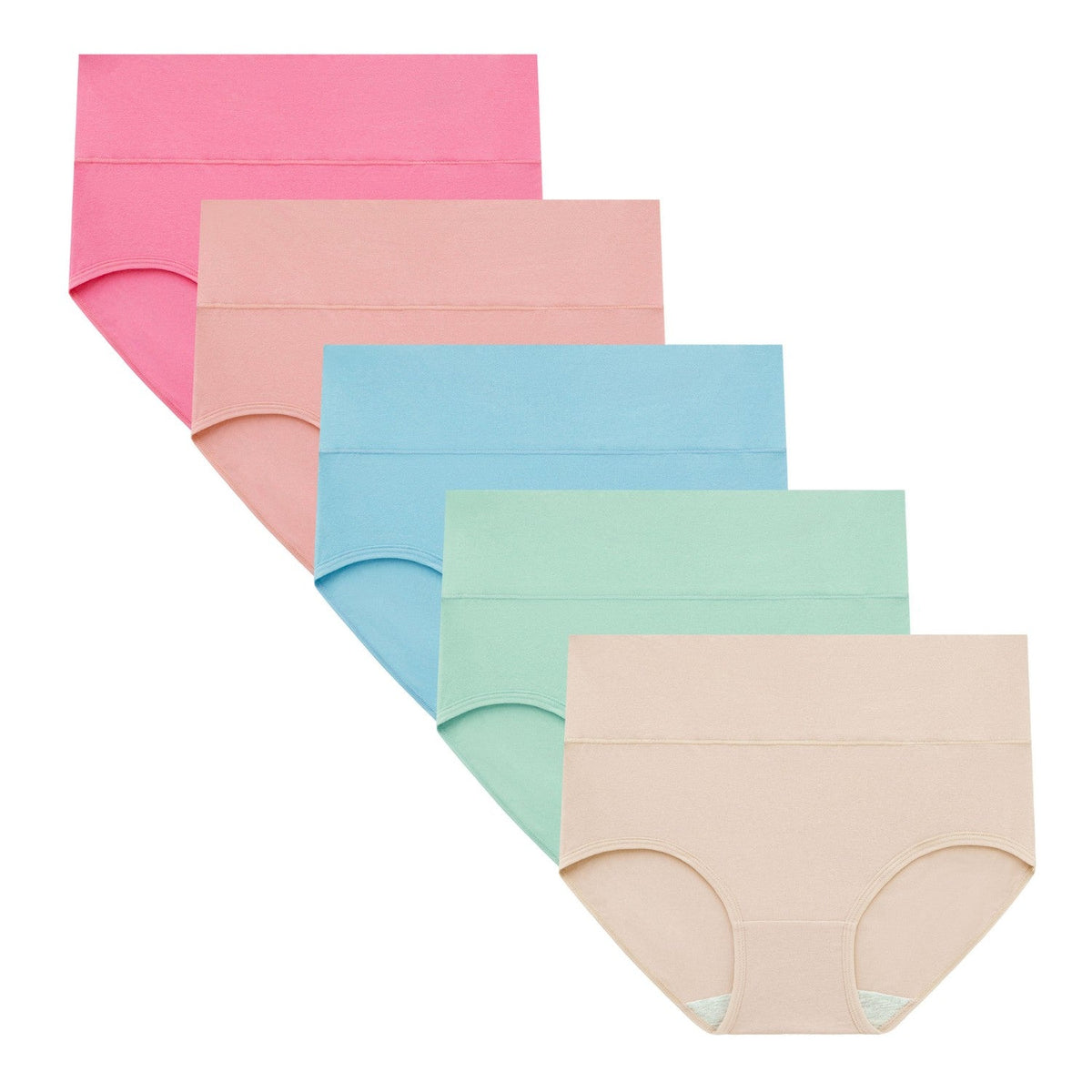 SKYNN High Waisted Briefs