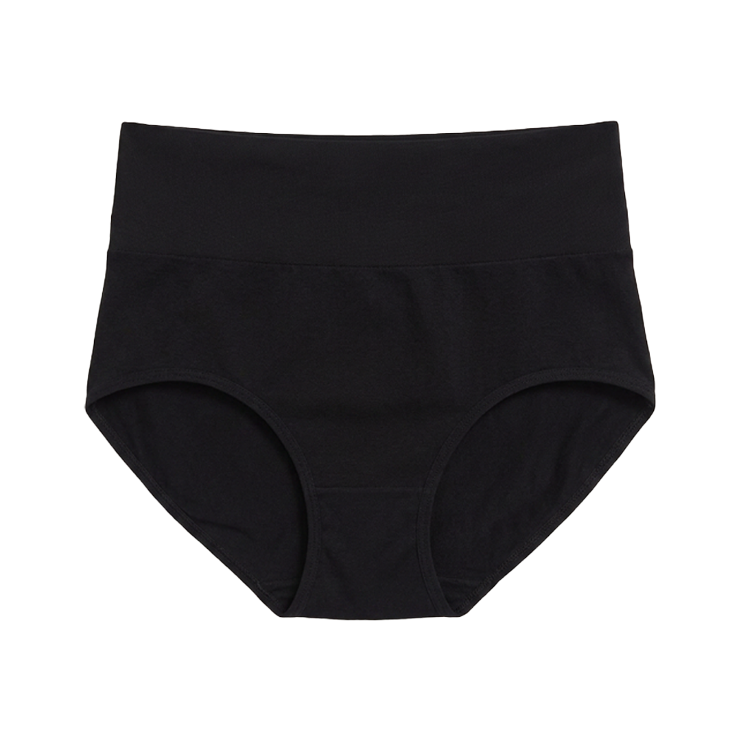 SKYNN High Waisted Briefs