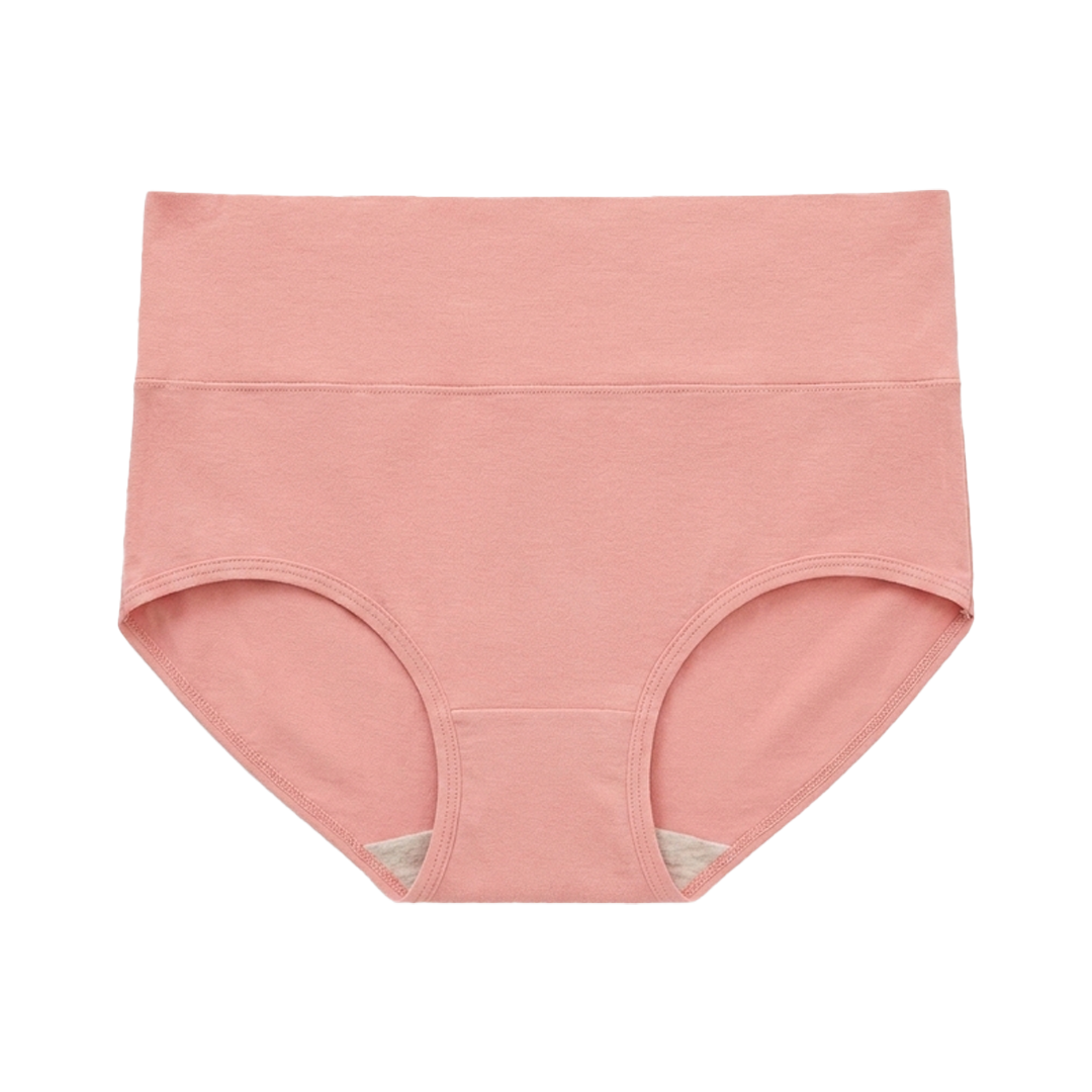 SKYNN High Waisted Briefs