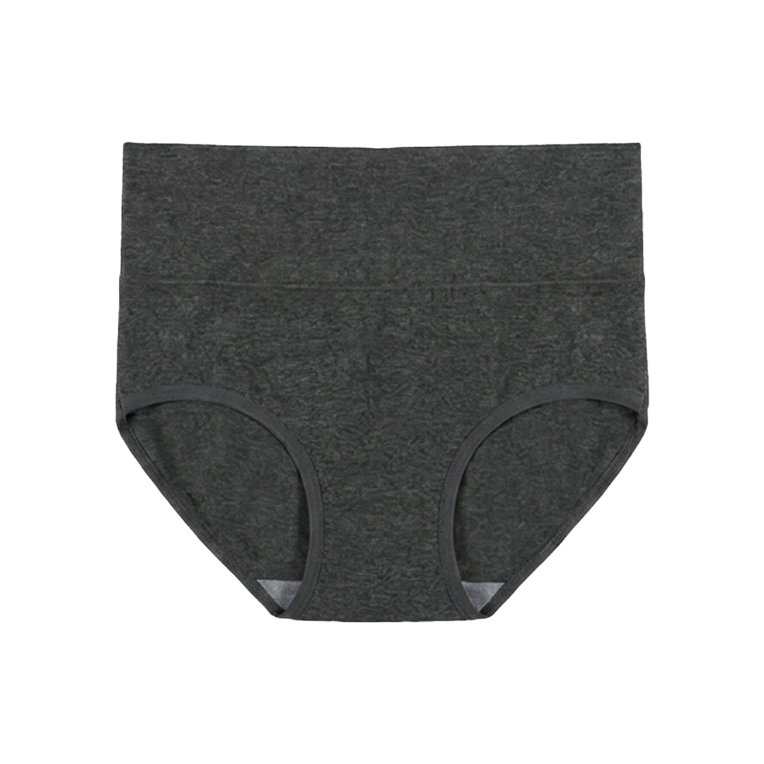 SKYNN High Waisted Briefs