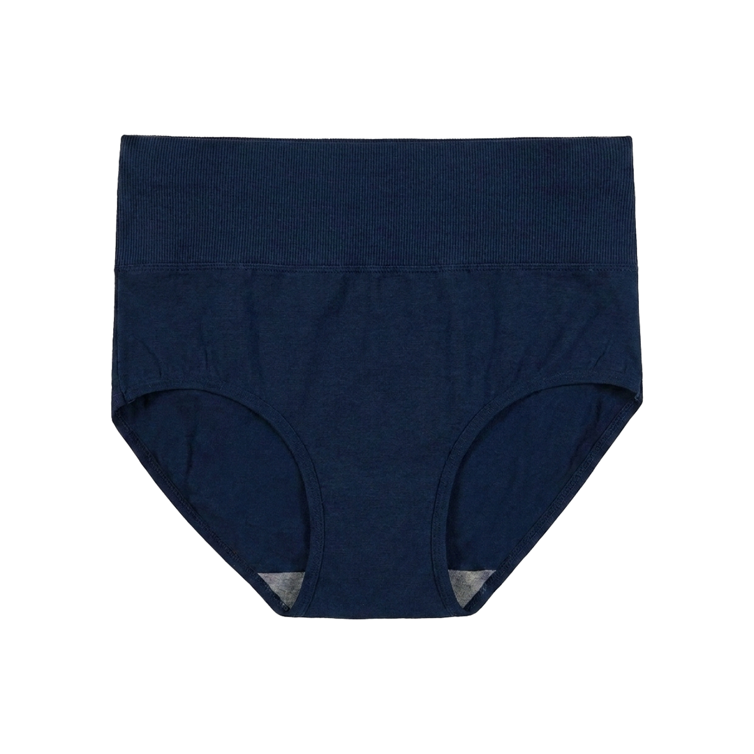 SKYNN High Waisted Briefs