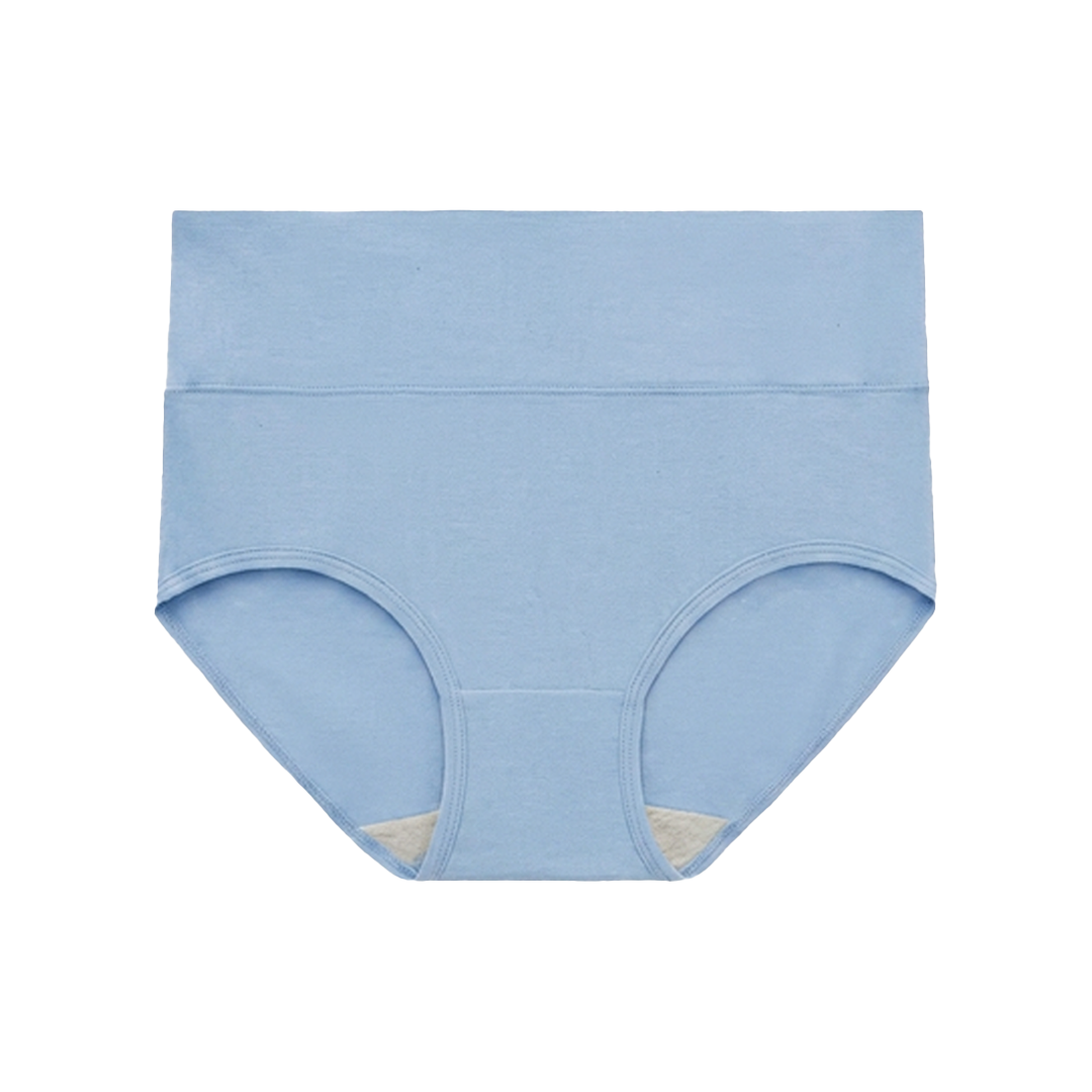SKYNN High Waisted Briefs