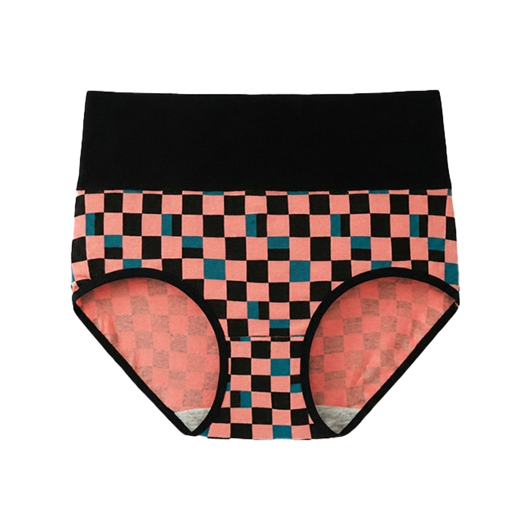 SKYNN High Waisted Briefs