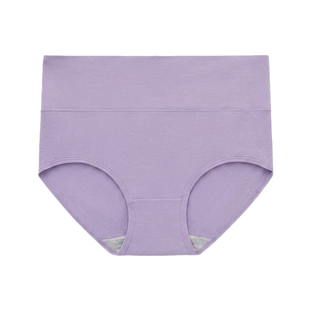 SKYNN High Waisted Briefs