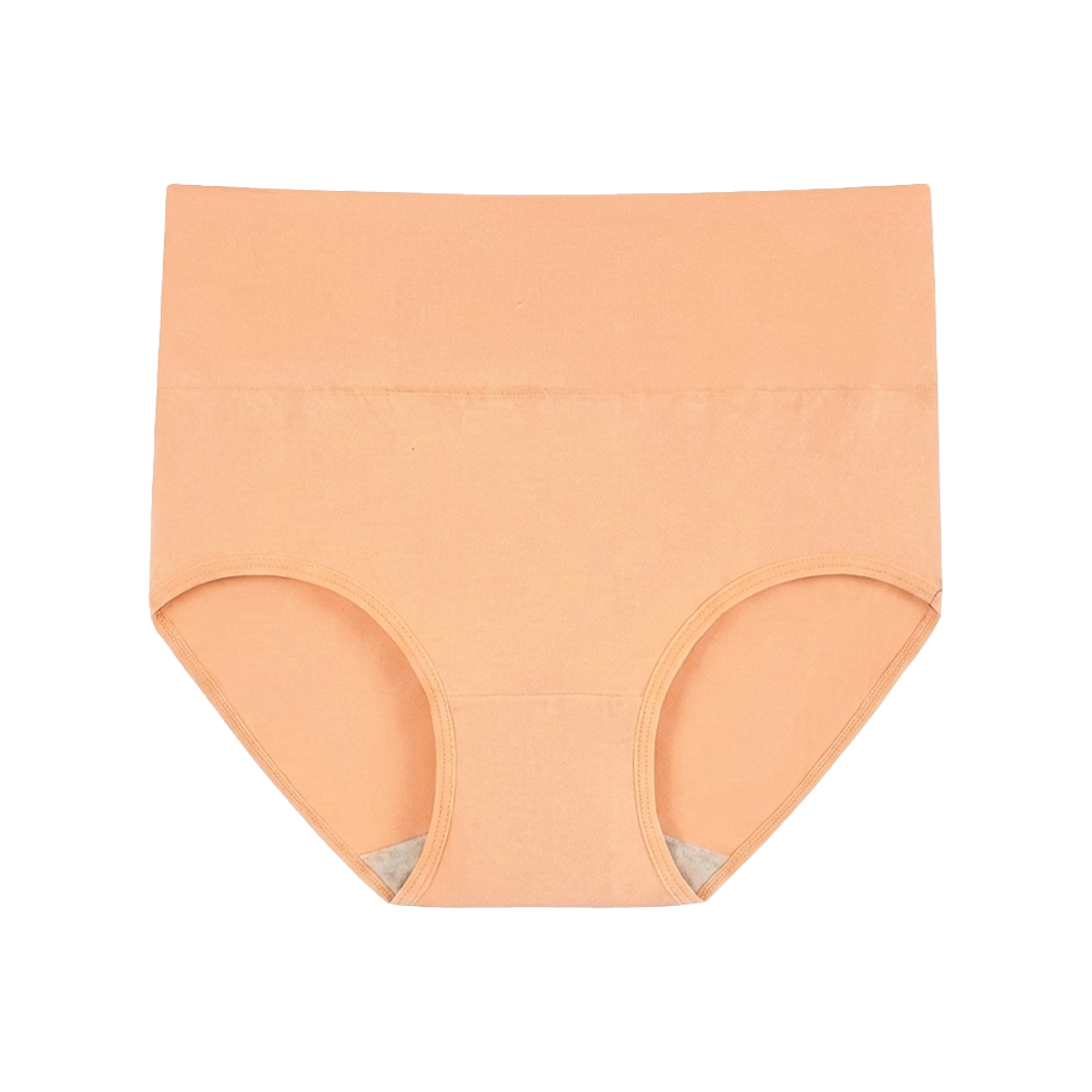 SKYNN High Waisted Briefs