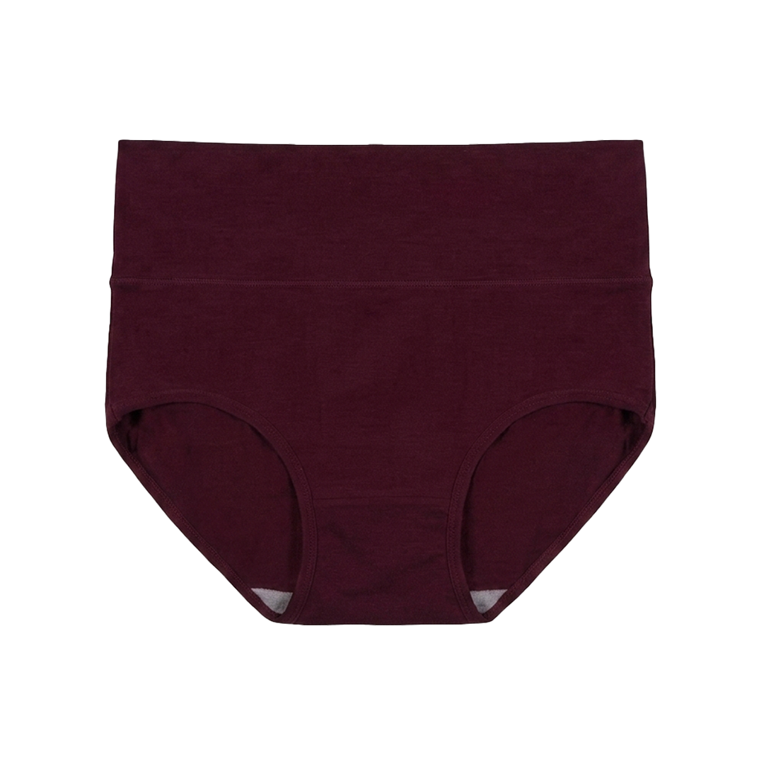 SKYNN High Waisted Briefs