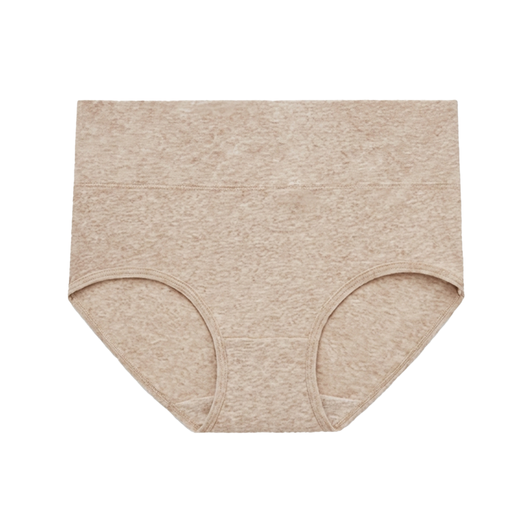 SKYNN High Waisted Briefs